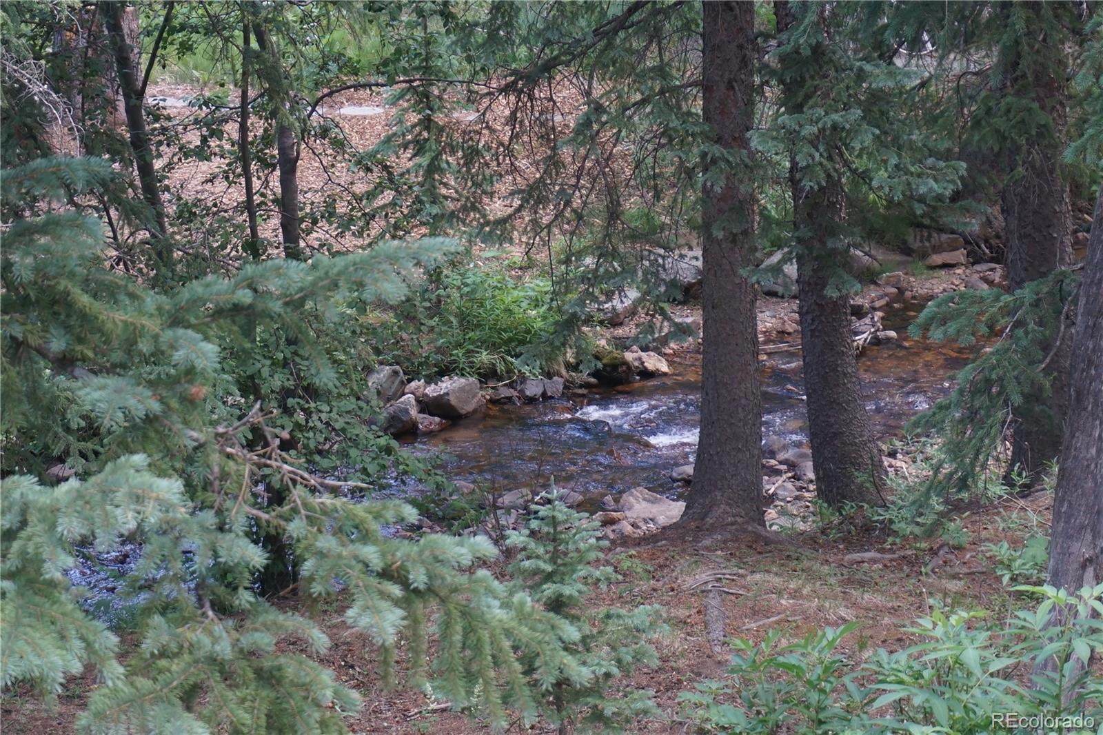 MLS Image #12 for 7823  county road 43 ,bailey, Colorado