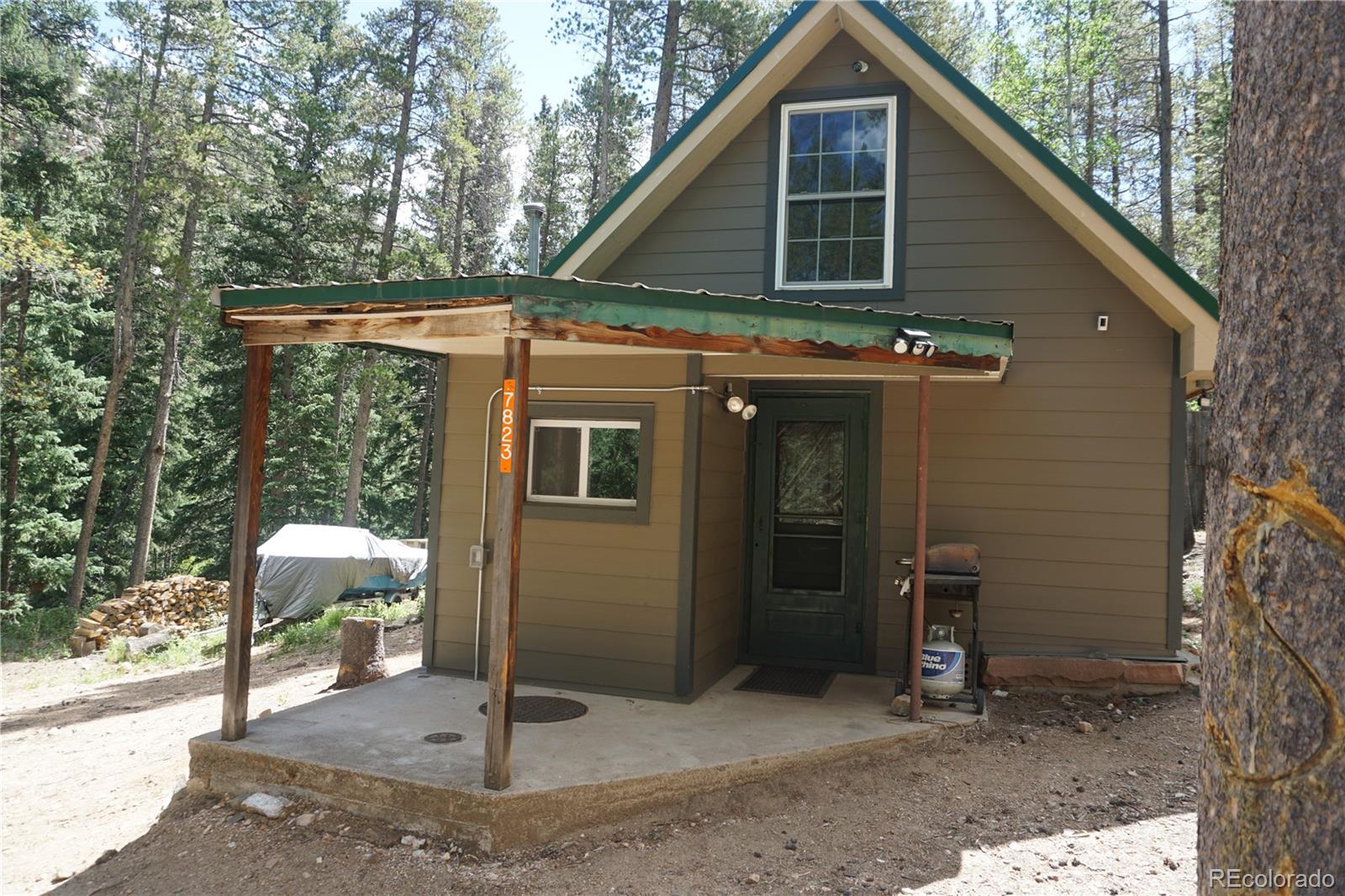 MLS Image #2 for 7823  county road 43 ,bailey, Colorado