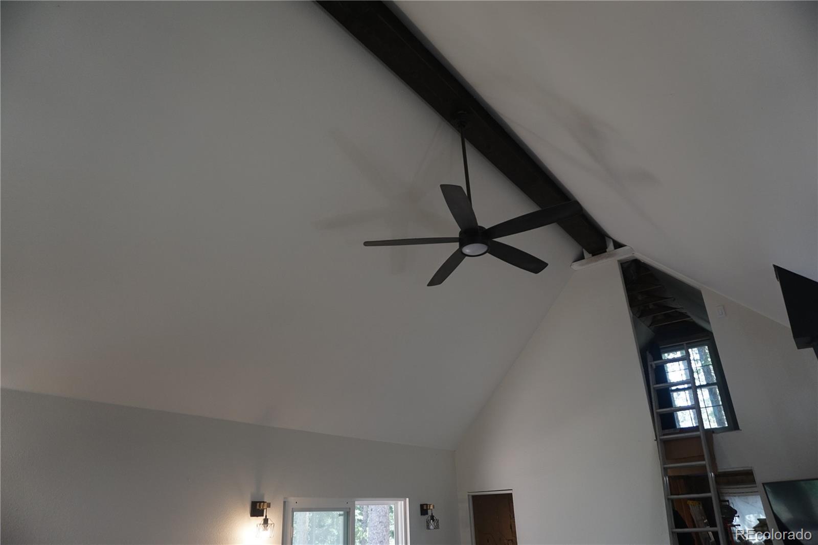 MLS Image #42 for 7823  county road 43 ,bailey, Colorado