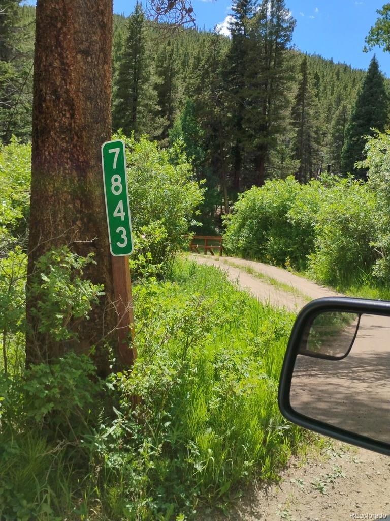 MLS Image #44 for 7823  county road 43 ,bailey, Colorado
