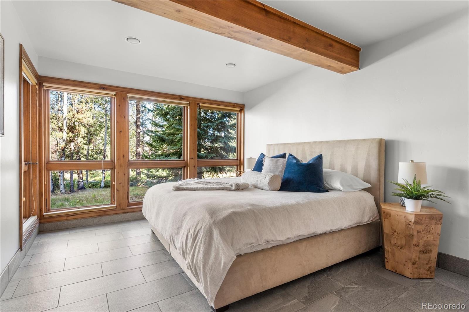 MLS Image #31 for 214  wellington road,breckenridge, Colorado