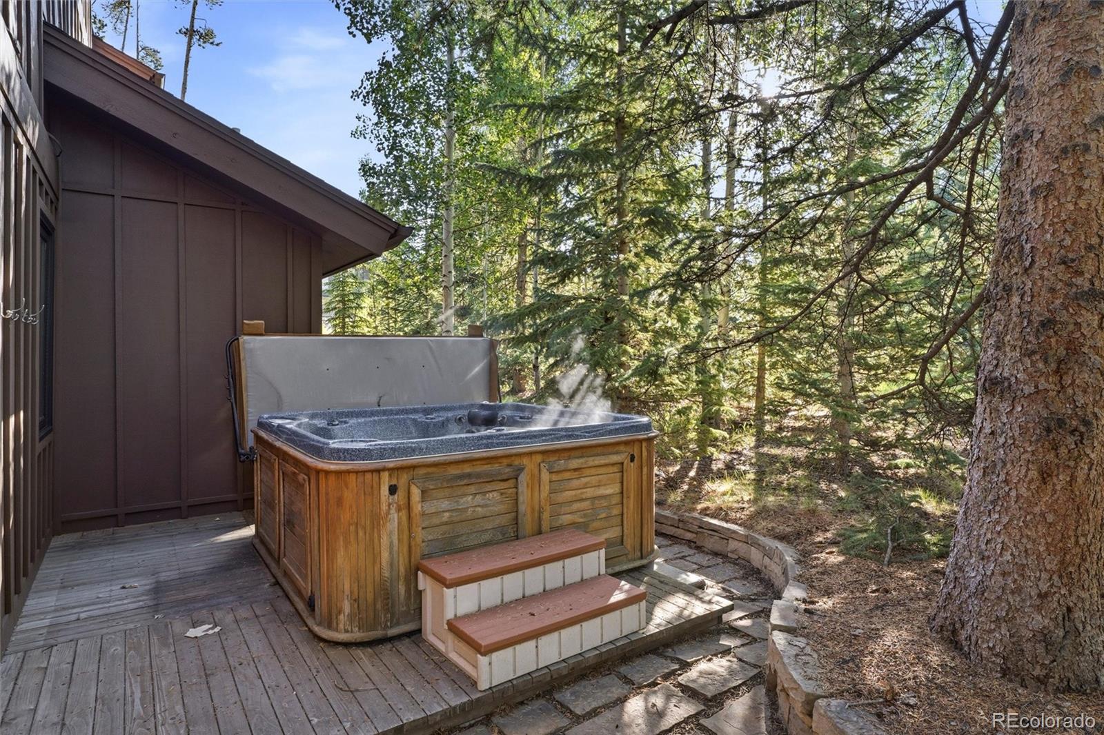 MLS Image #41 for 214  wellington road,breckenridge, Colorado