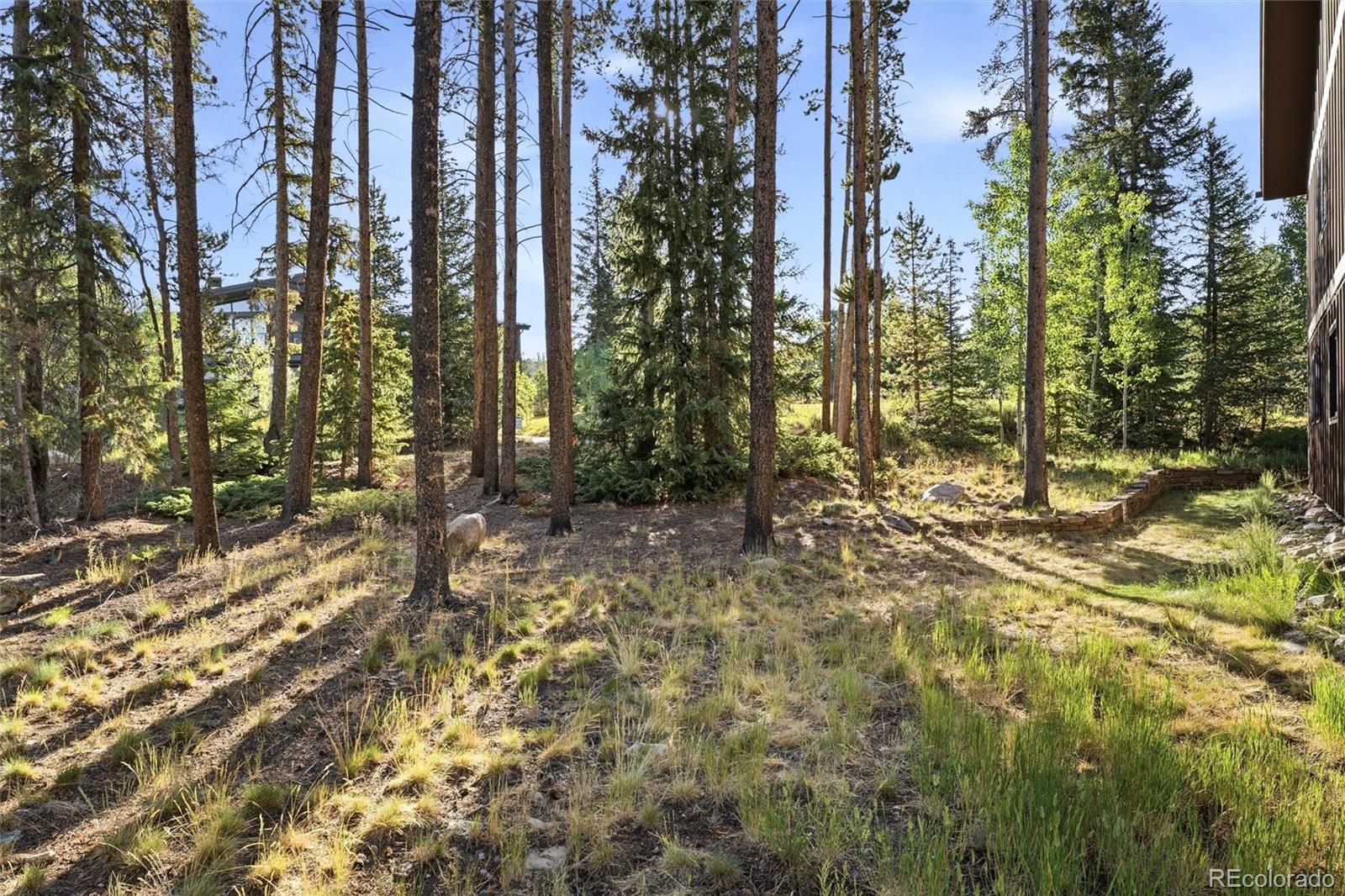 MLS Image #42 for 214  wellington road,breckenridge, Colorado