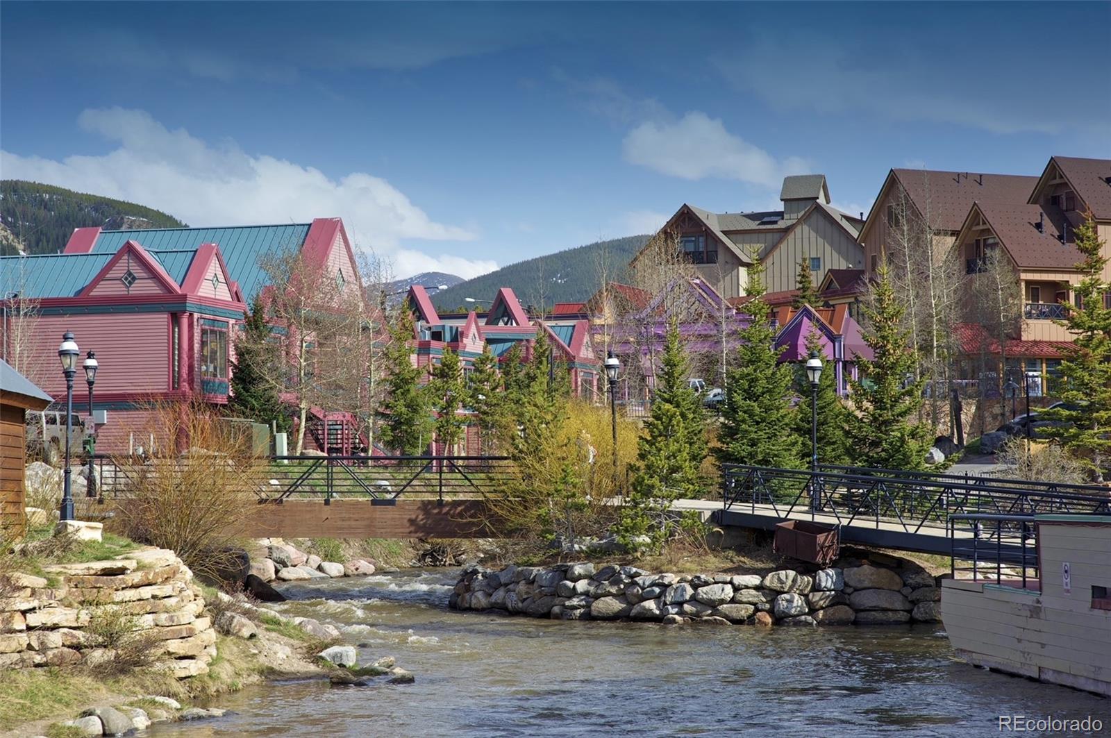 MLS Image #46 for 214  wellington road,breckenridge, Colorado