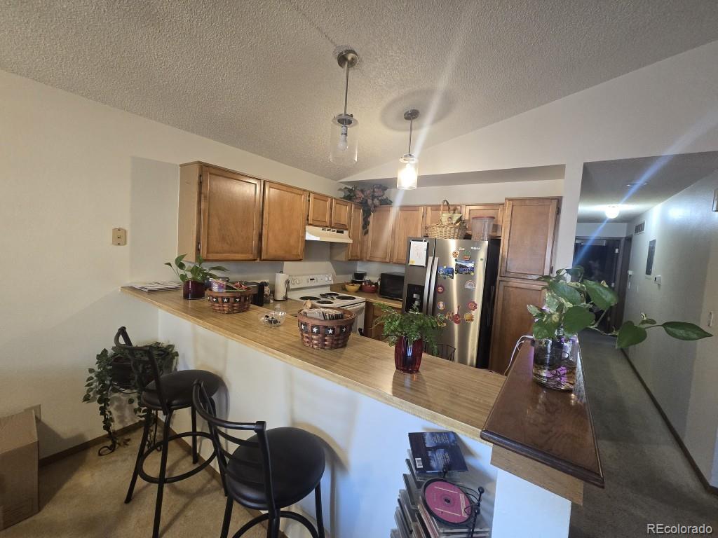 MLS Image #4 for 18328 w 58th place,golden, Colorado