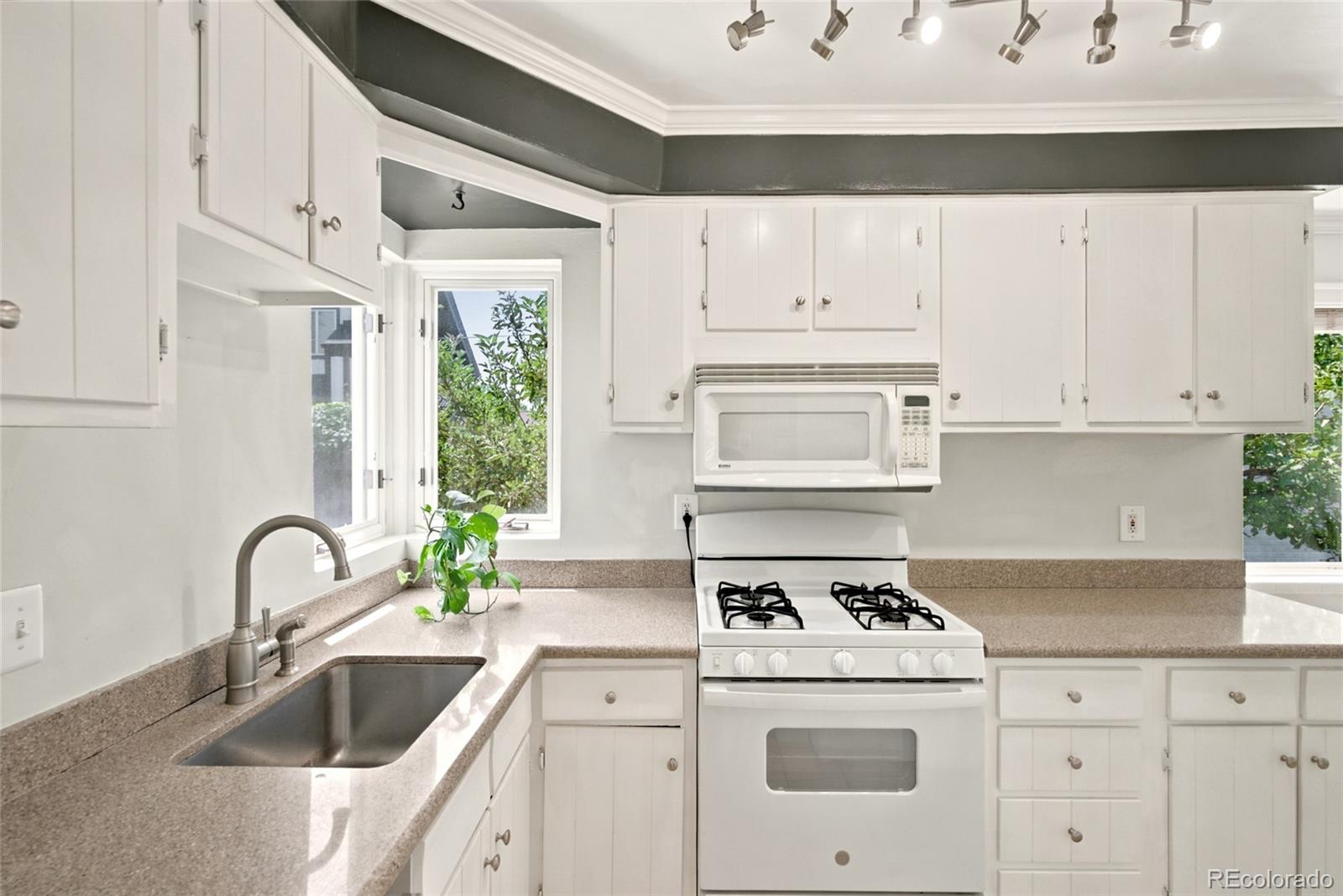 MLS Image #13 for 1564 s josephine street,denver, Colorado