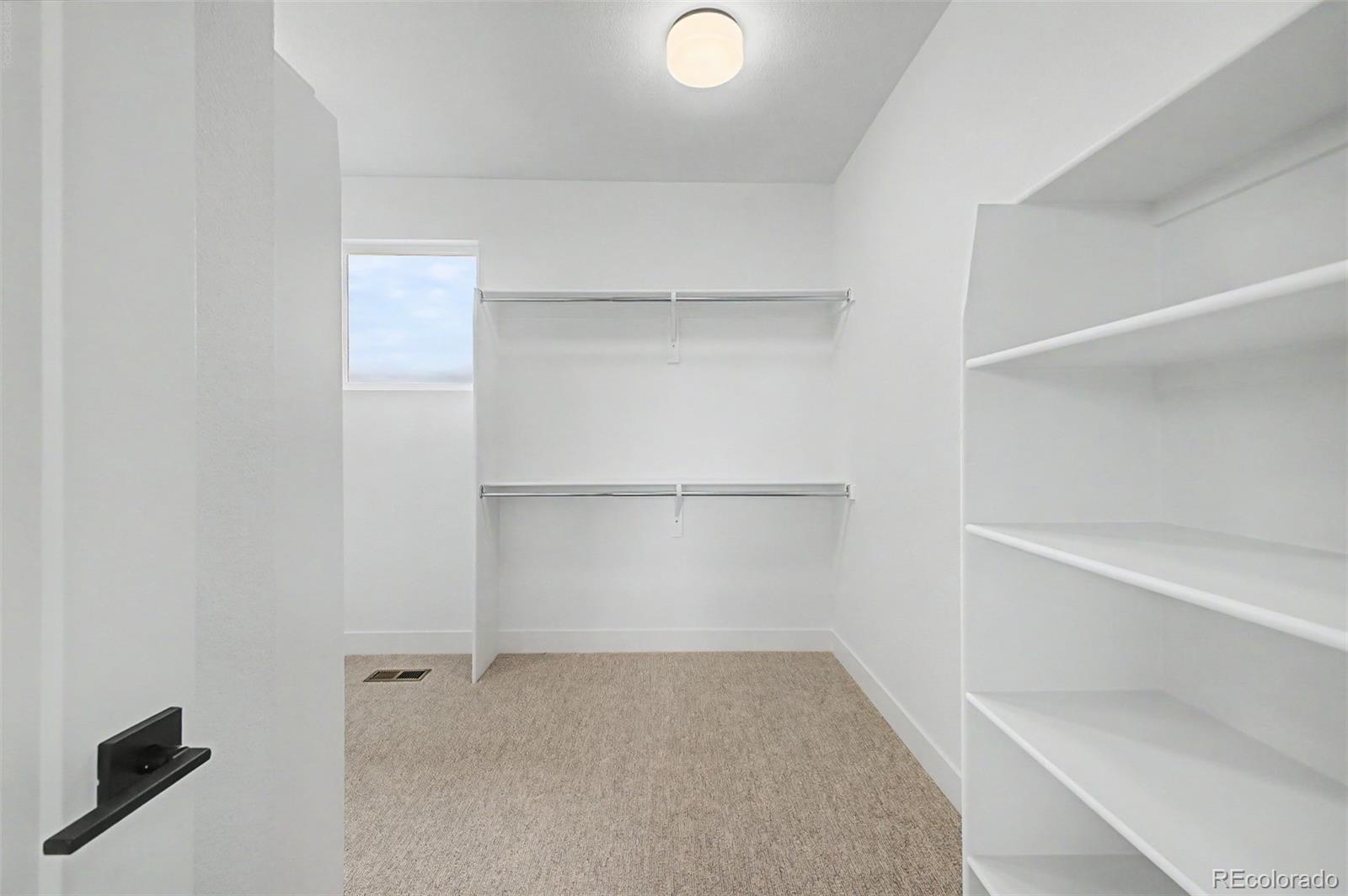 MLS Image #21 for 5612  wheaton avenue,longmont, Colorado