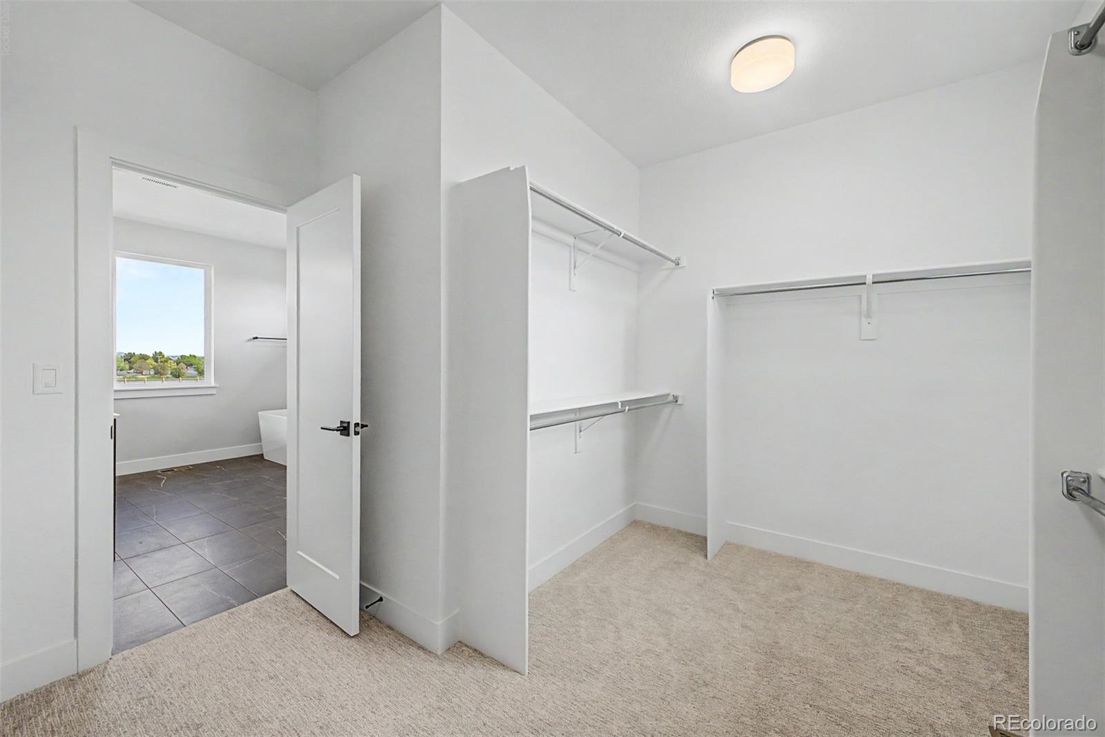 MLS Image #22 for 5612  wheaton avenue,longmont, Colorado