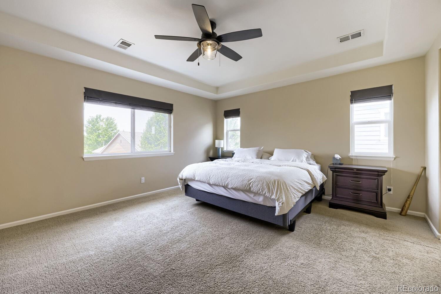 MLS Image #13 for 14199  st paul street,brighton, Colorado
