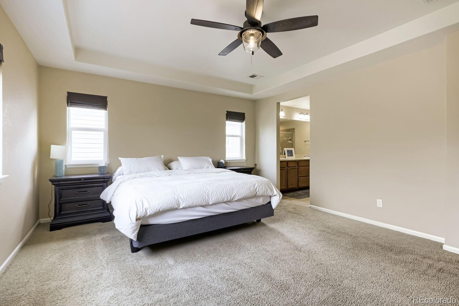 MLS Image #15 for 14199  st paul street,brighton, Colorado