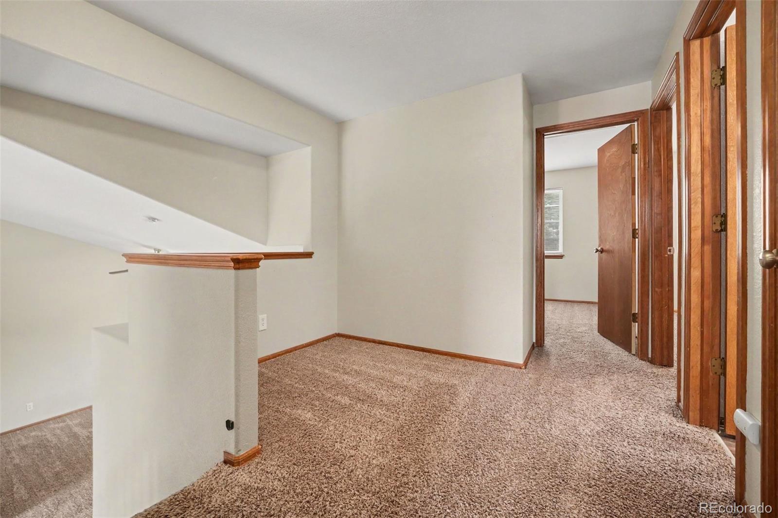 MLS Image #14 for 11441  lima court,henderson, Colorado