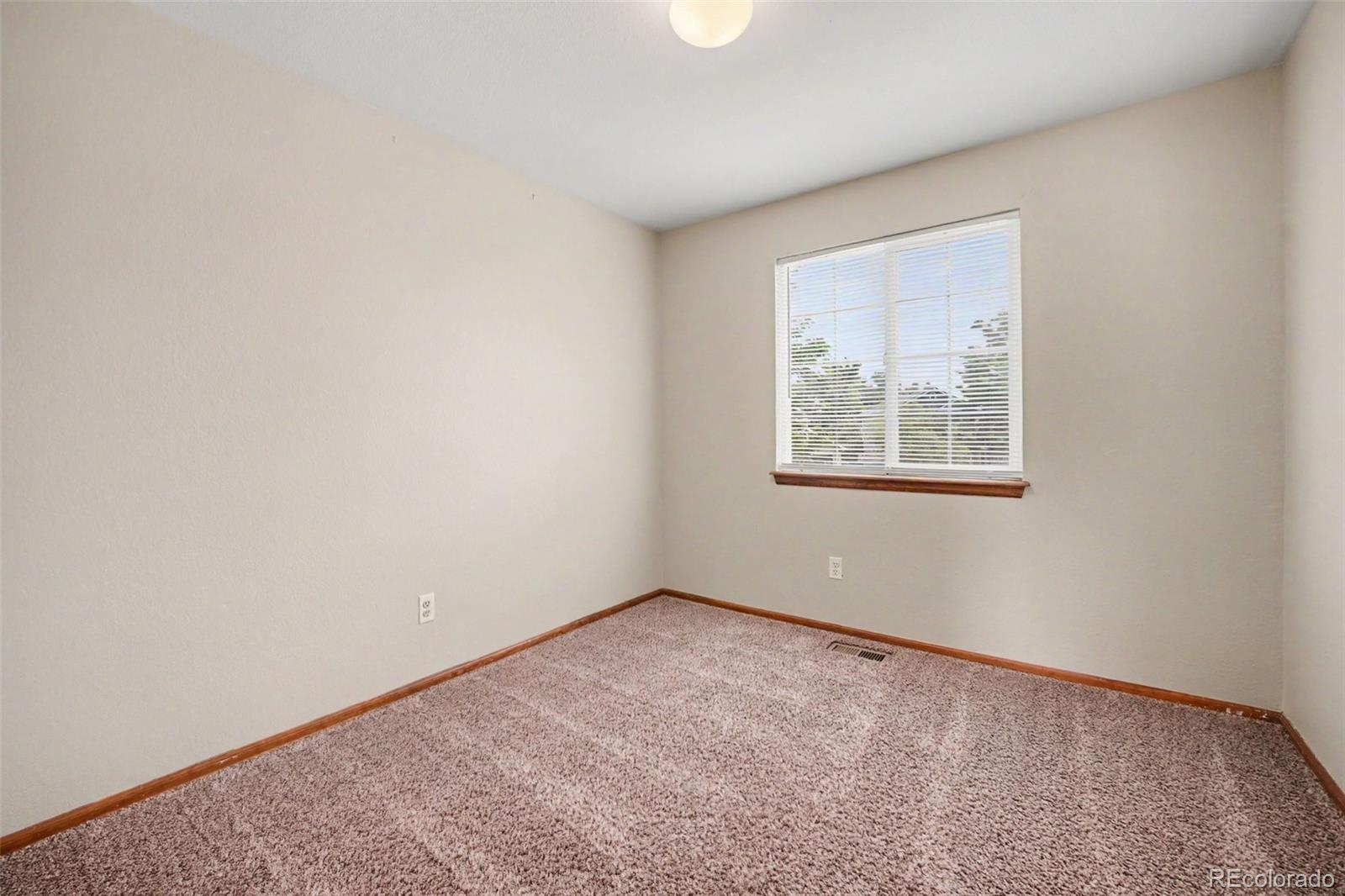 MLS Image #18 for 11441  lima court,henderson, Colorado