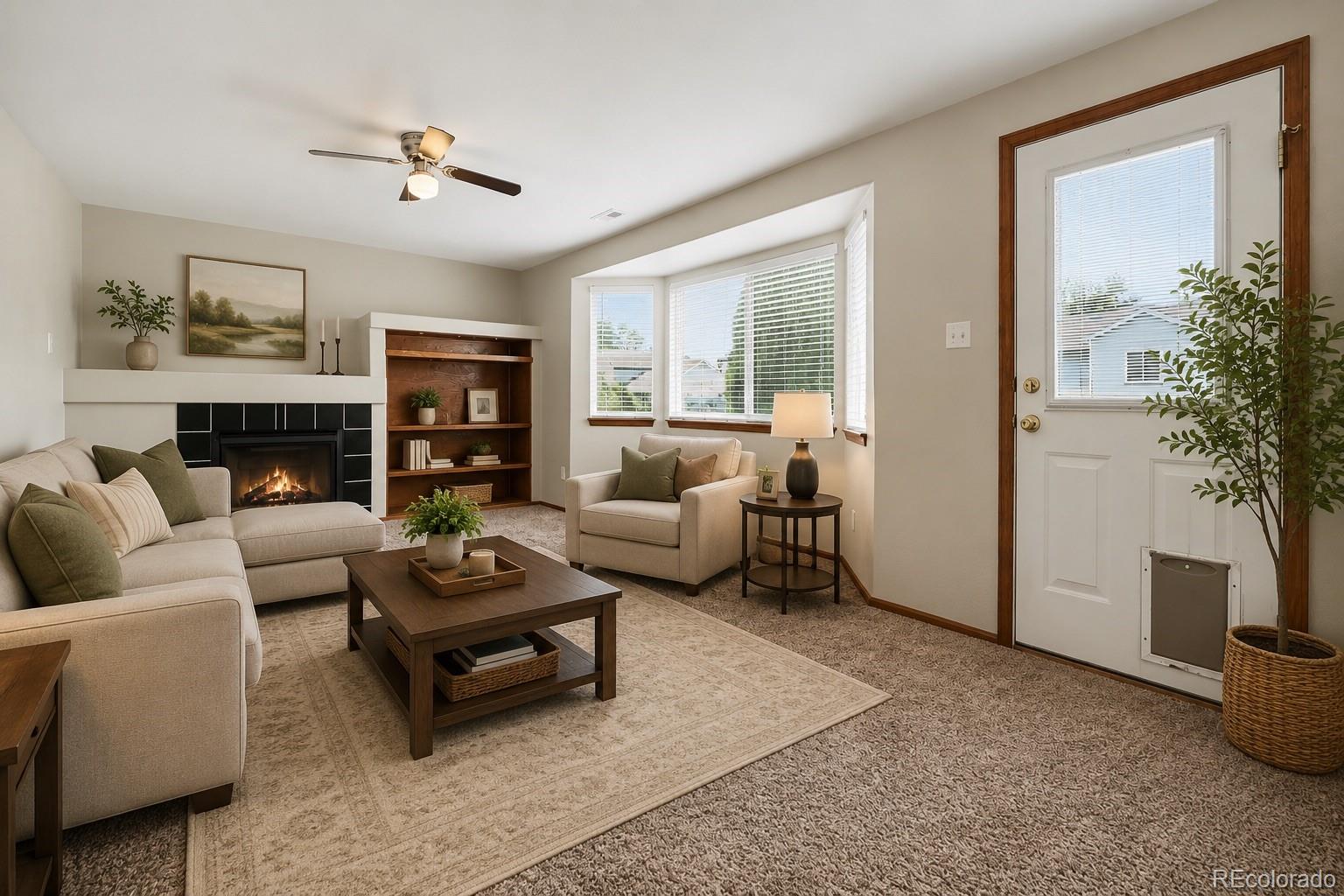 MLS Image #3 for 11441  lima court,henderson, Colorado