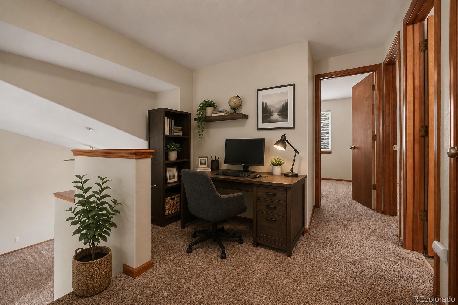MLS Image #5 for 11441  lima court,henderson, Colorado