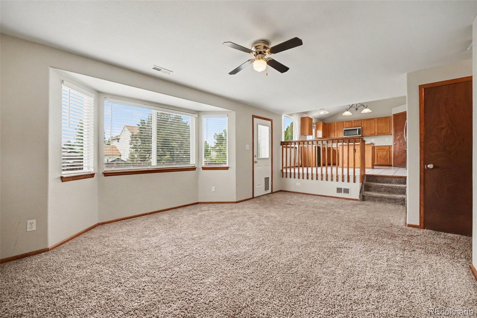 MLS Image #9 for 11441  lima court,henderson, Colorado