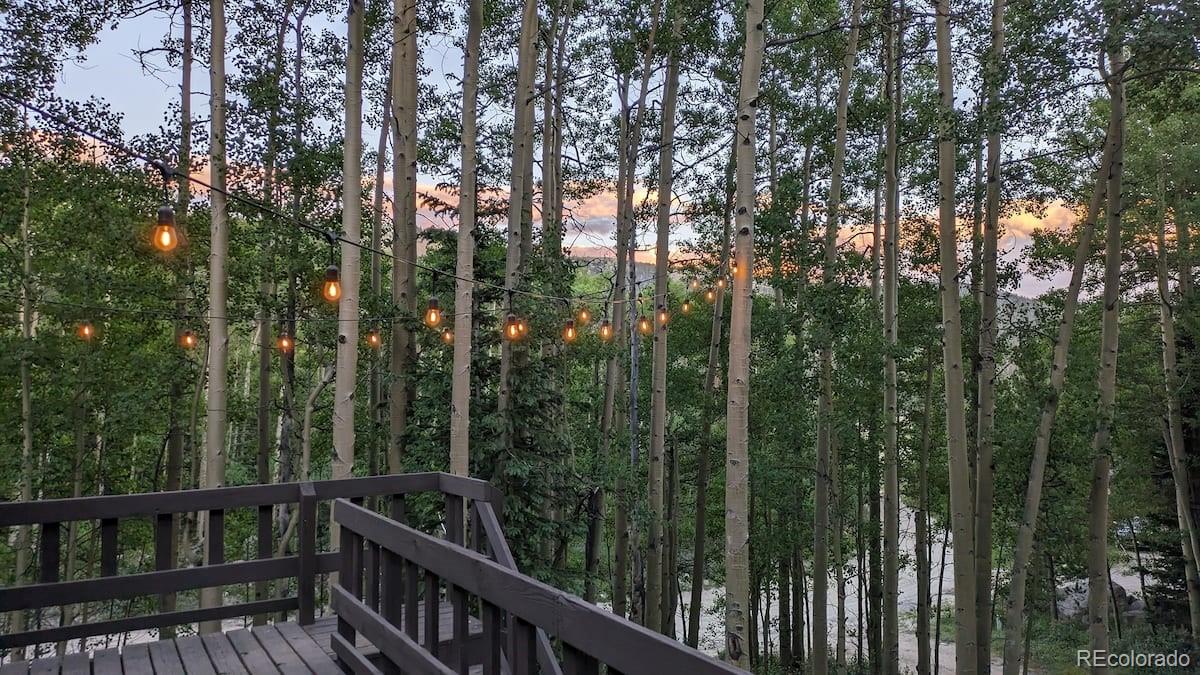 MLS Image #1 for 288  roberts road,alma, Colorado