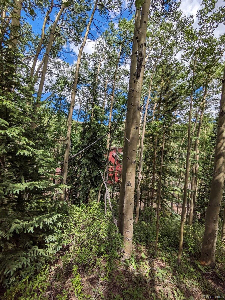 MLS Image #18 for 288  roberts road,alma, Colorado