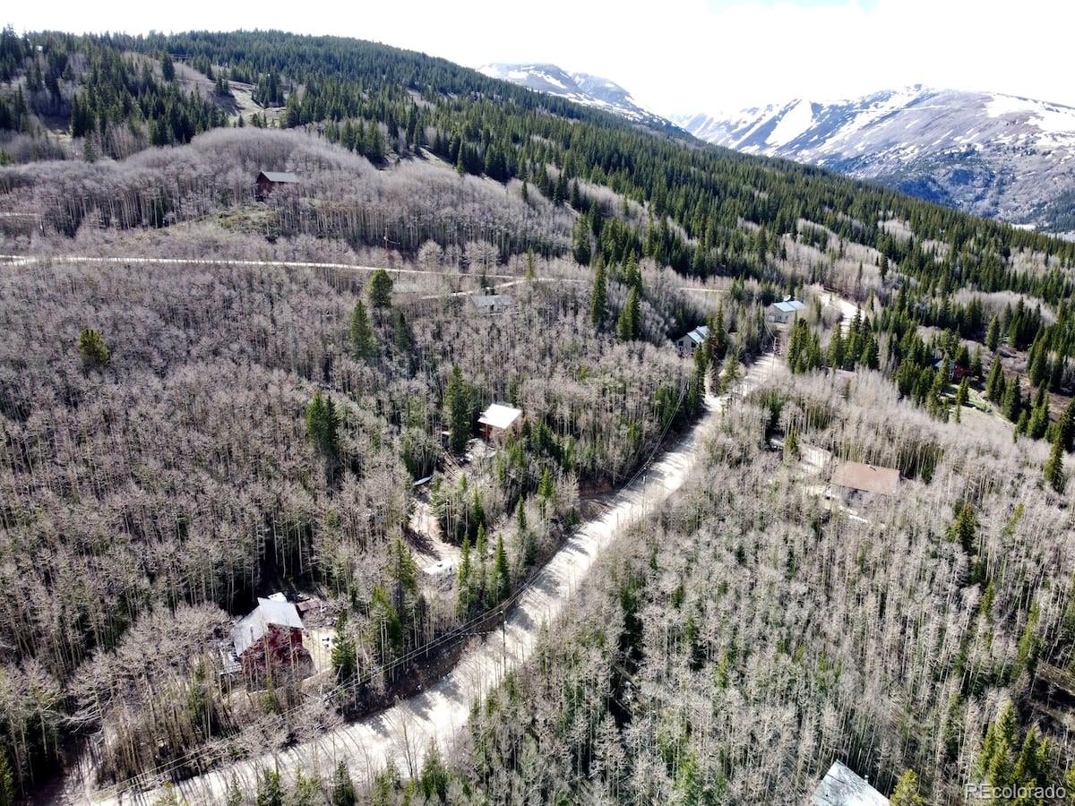 MLS Image #2 for 288  roberts road,alma, Colorado