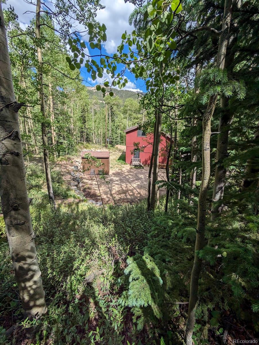 MLS Image #21 for 288  roberts road,alma, Colorado