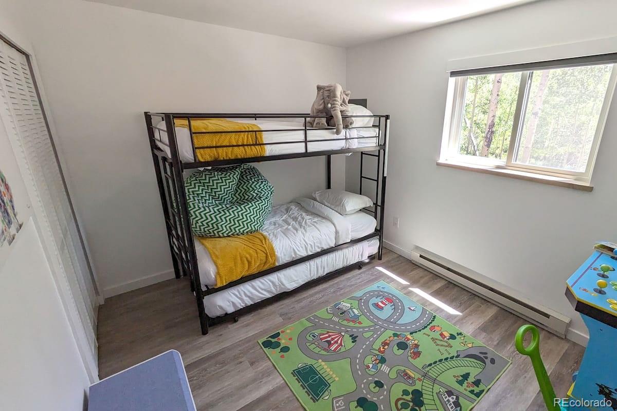 MLS Image #8 for 288  roberts road,alma, Colorado