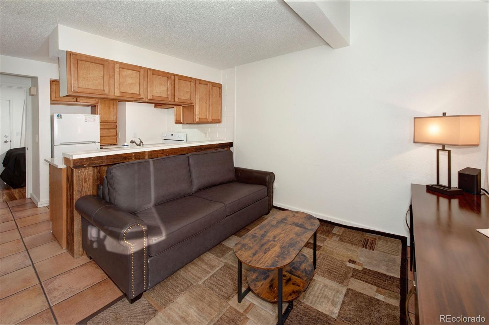 MLS Image #9 for 791  rainbow drive,silverthorne, Colorado