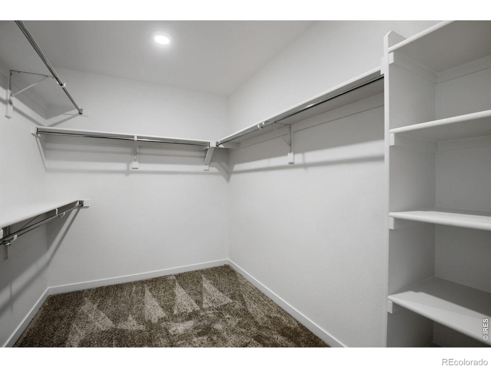 MLS Image #10 for 1732  crested lark street,fort collins, Colorado