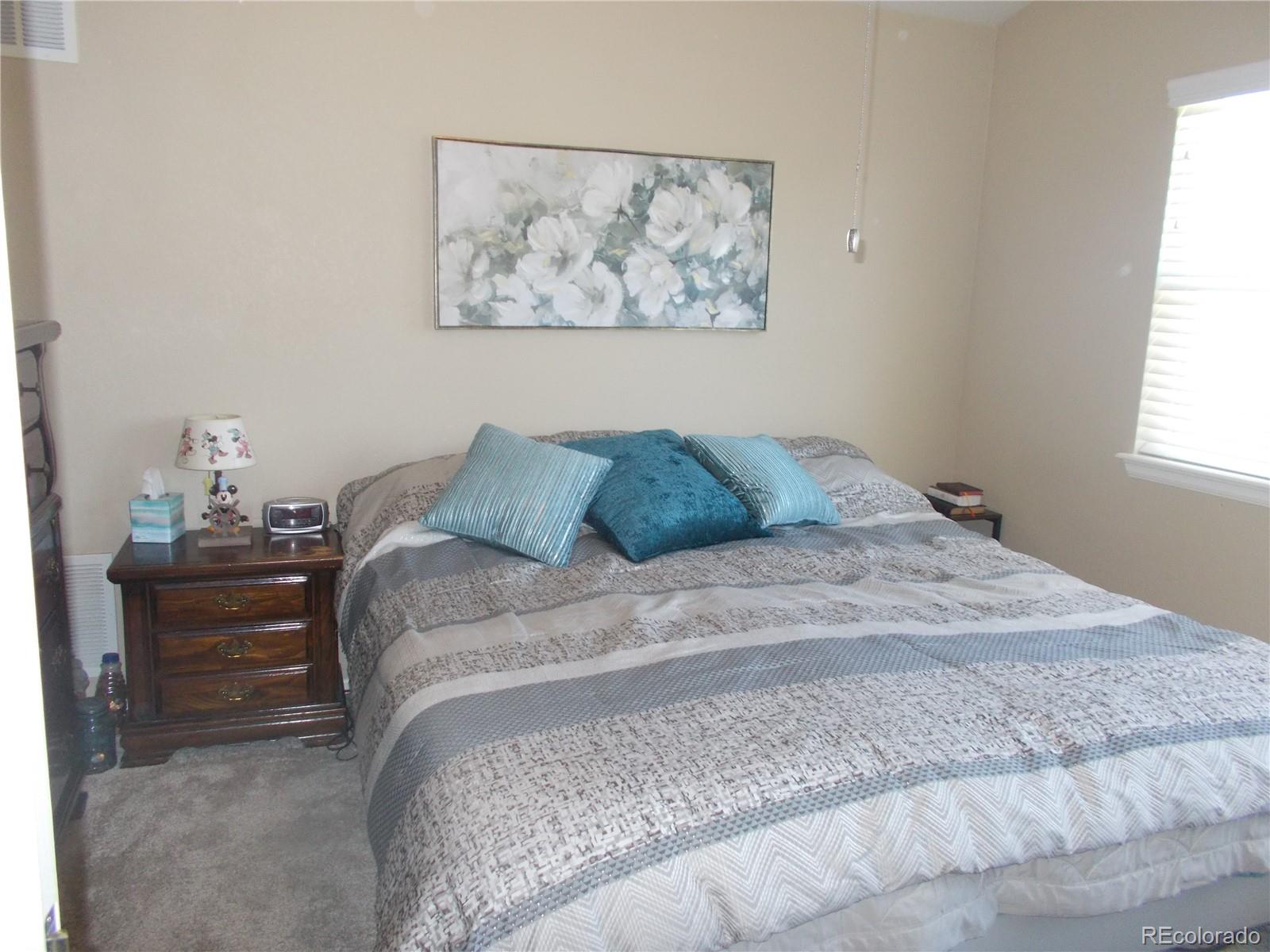 MLS Image #11 for 5274  sagebrush street,brighton, Colorado