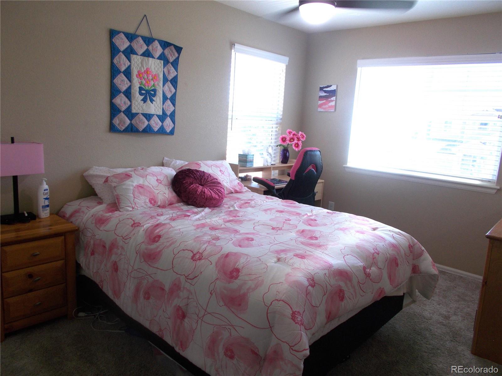 MLS Image #17 for 5274  sagebrush street,brighton, Colorado