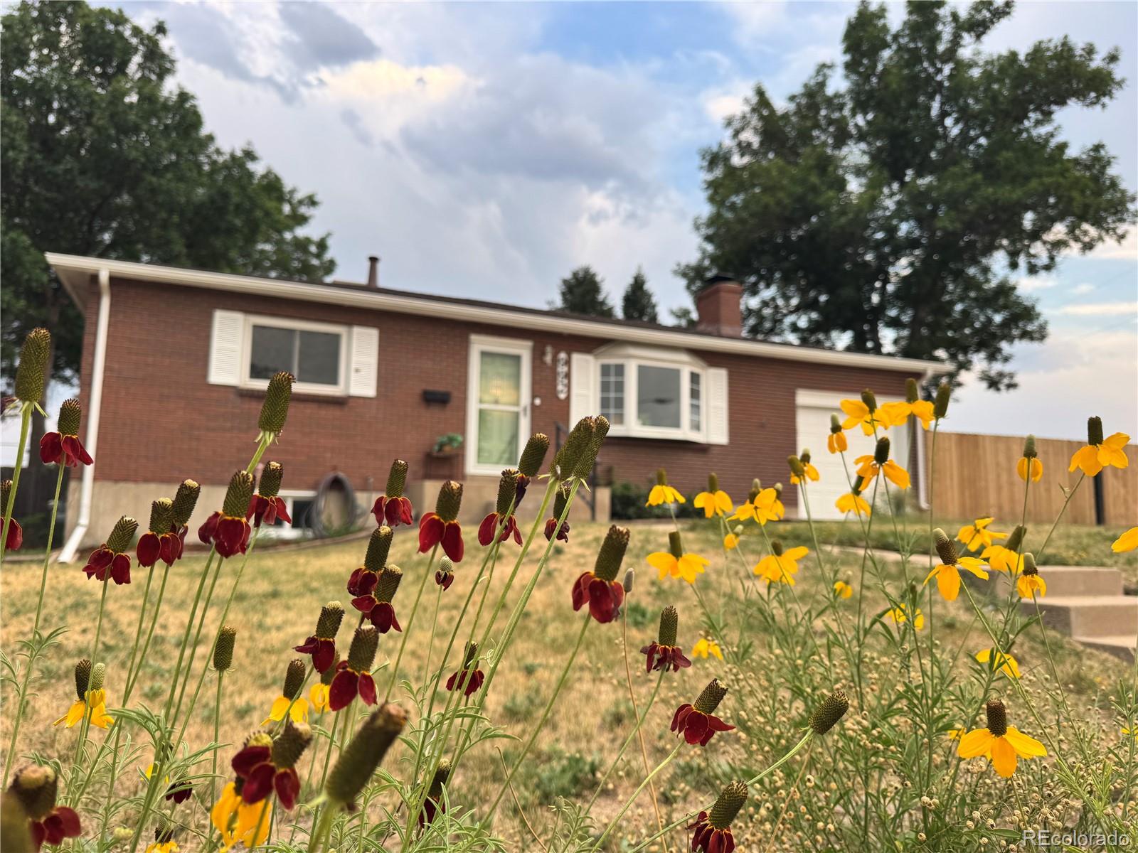 MLS Image #49 for 992 s simms street,denver, Colorado