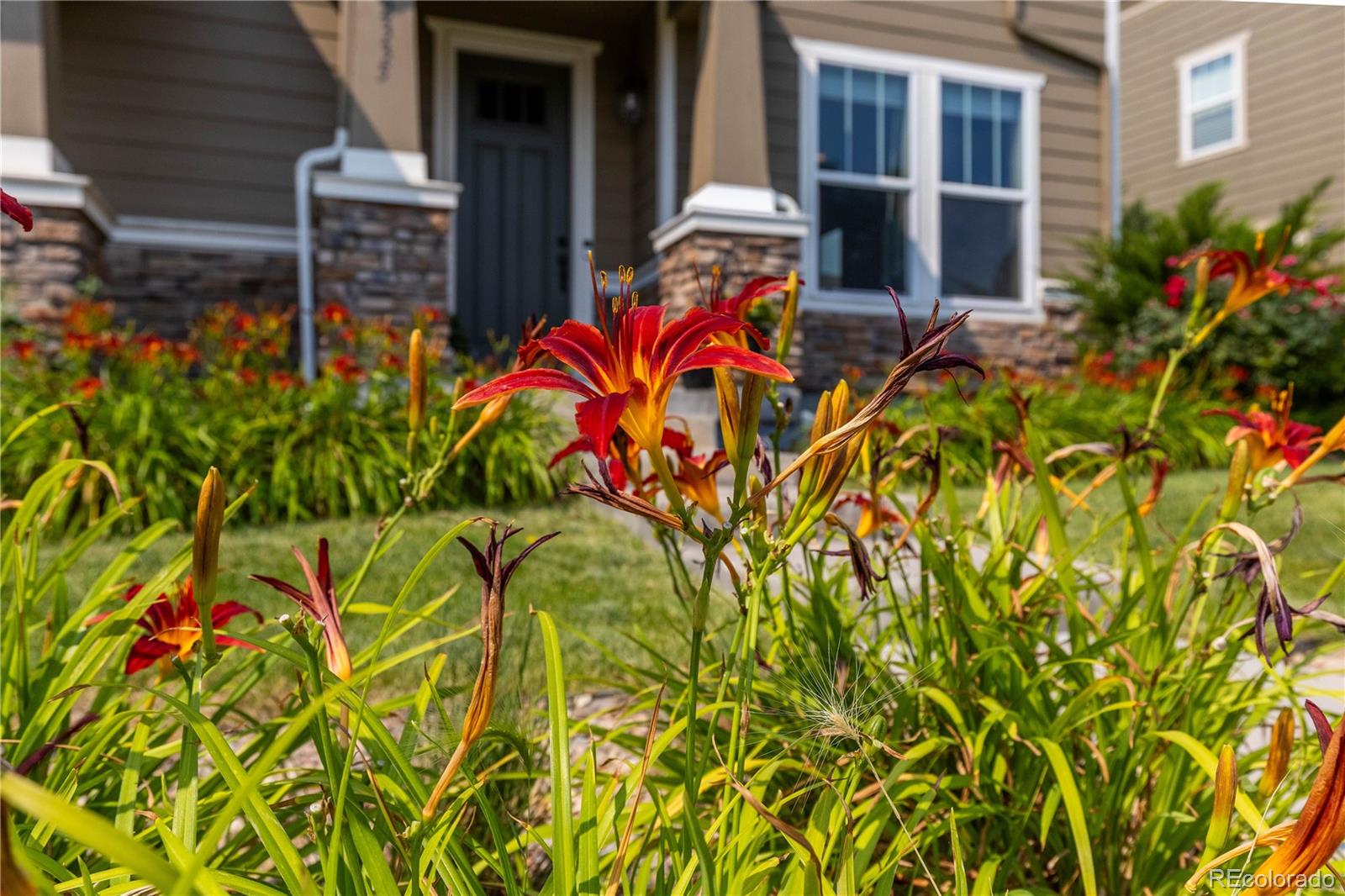 MLS Image #25 for 2335 w 164th place,broomfield, Colorado