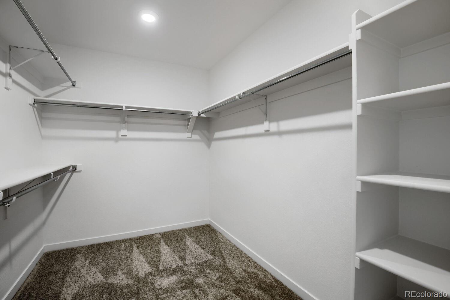 MLS Image #12 for 1732  crested lark street,fort collins, Colorado