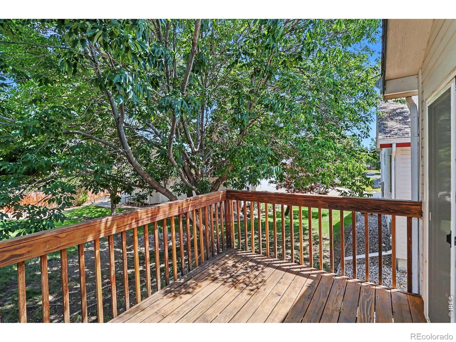 MLS Image #10 for 585  radiant drive,loveland, Colorado