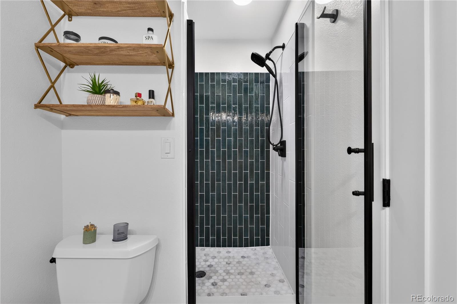 MLS Image #21 for 1135  elm street,denver, Colorado