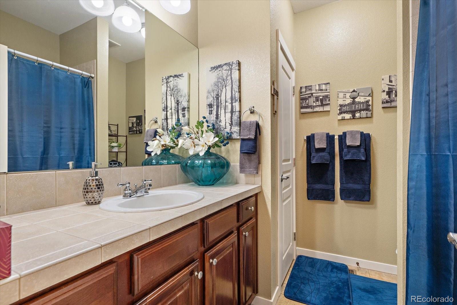 MLS Image #19 for 18296 e saskatoon place,parker, Colorado