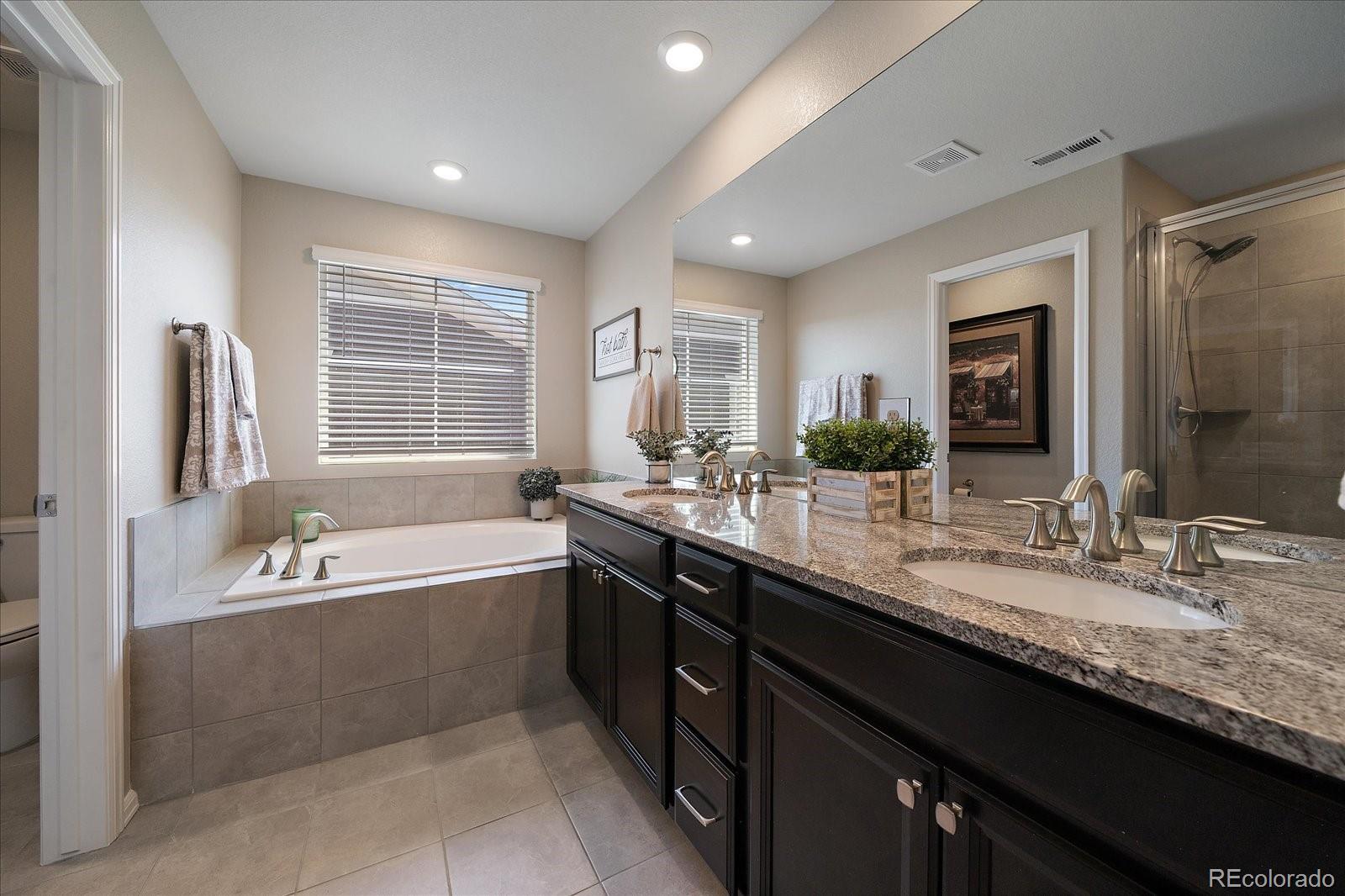 MLS Image #20 for 3341  greenery drive,castle rock, Colorado