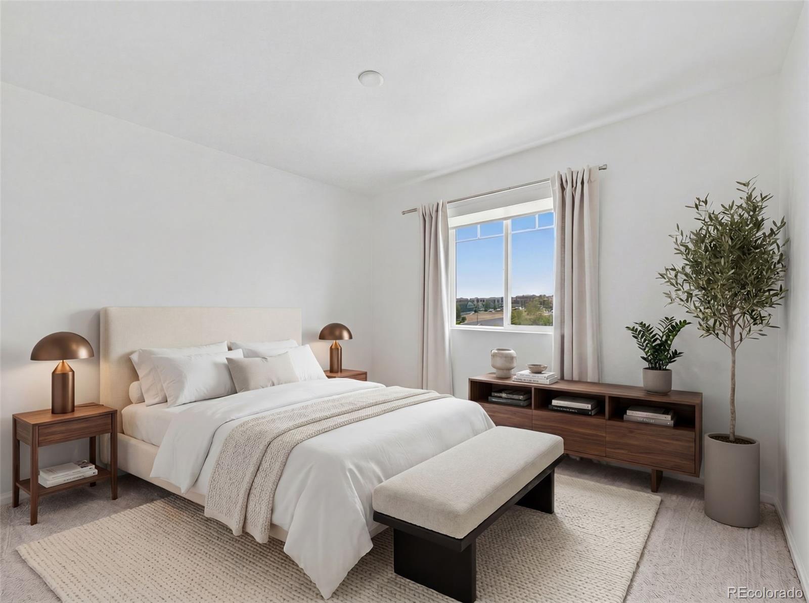 MLS Image #20 for 2907  distant rock avenue,castle rock, Colorado