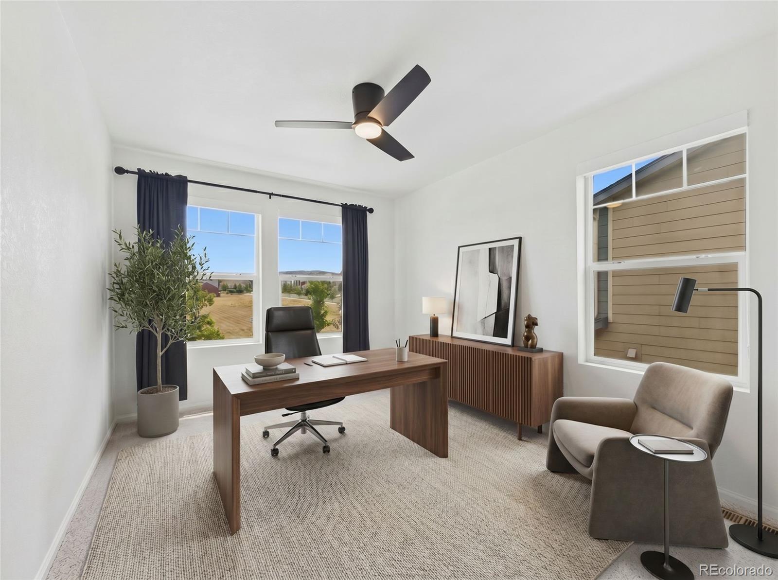 MLS Image #22 for 2907  distant rock avenue,castle rock, Colorado