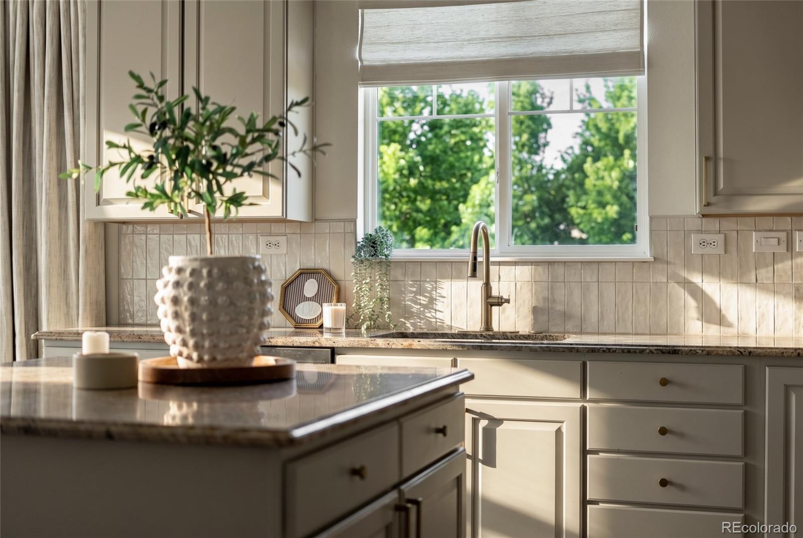 MLS Image #12 for 2893  shadow dance drive,castle rock, Colorado