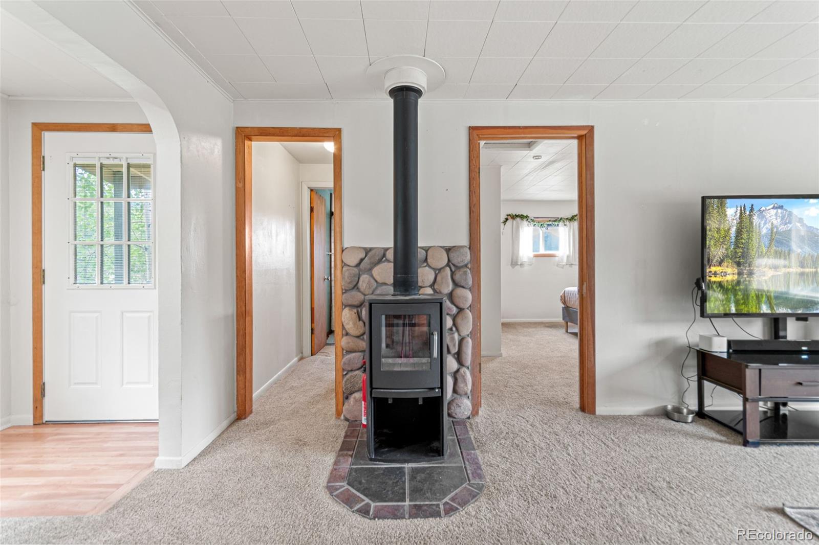 MLS Image #17 for 26274  cornelius street,conifer, Colorado