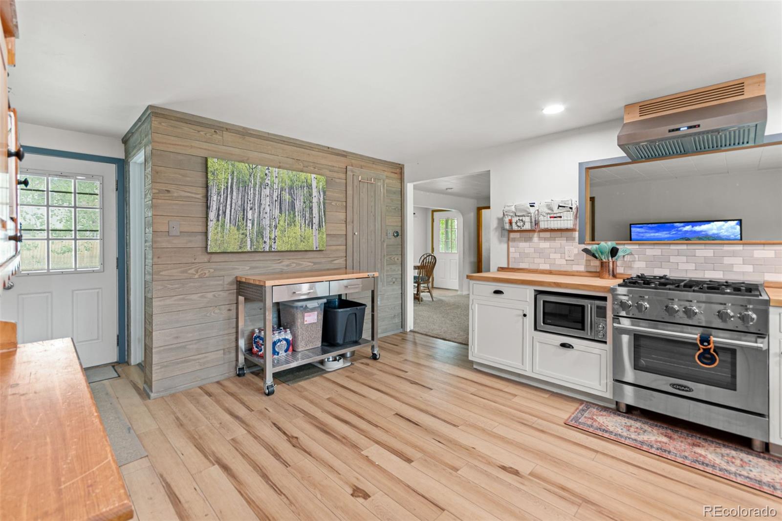 MLS Image #6 for 26274  cornelius street,conifer, Colorado