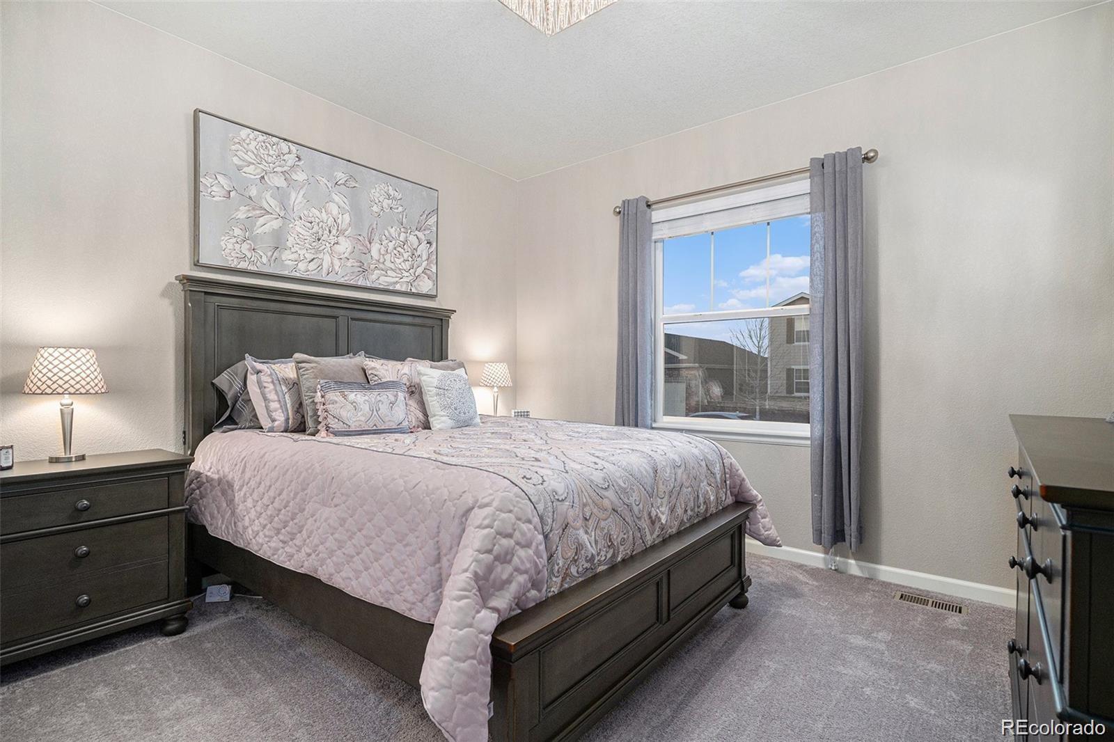 MLS Image #11 for 1170  mcmurdo circle,castle rock, Colorado