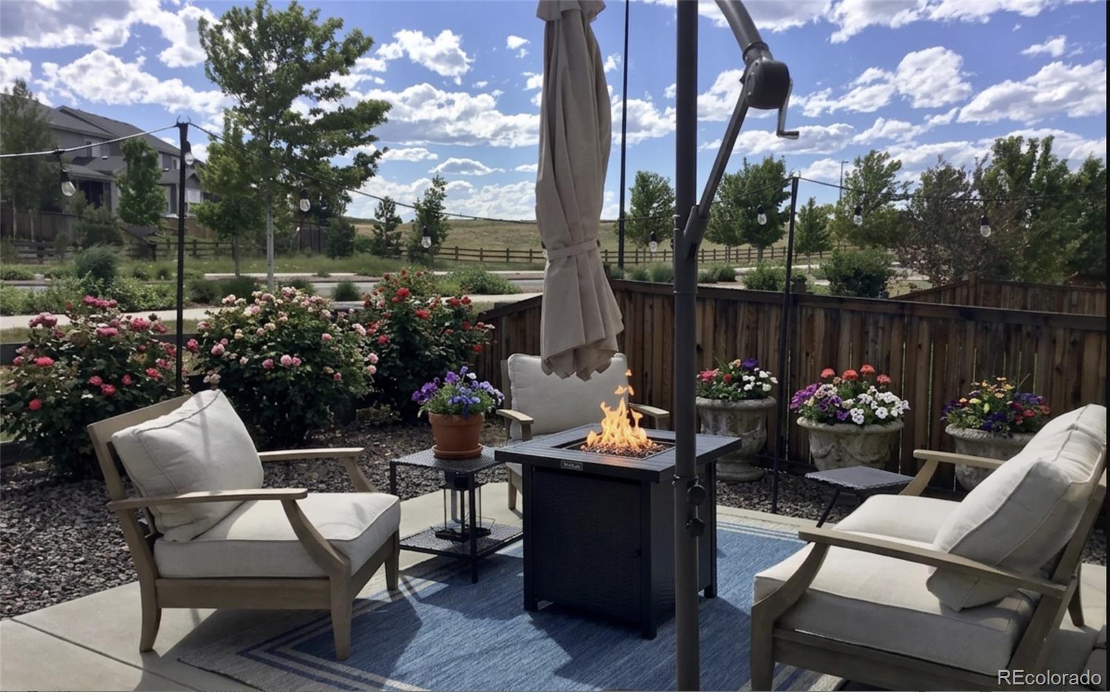 MLS Image #20 for 1170  mcmurdo circle,castle rock, Colorado