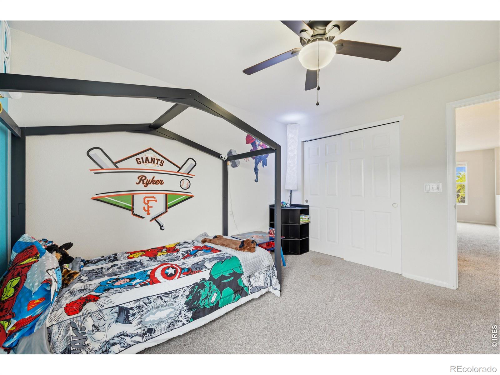 MLS Image #21 for 1553  grand avenue,windsor, Colorado