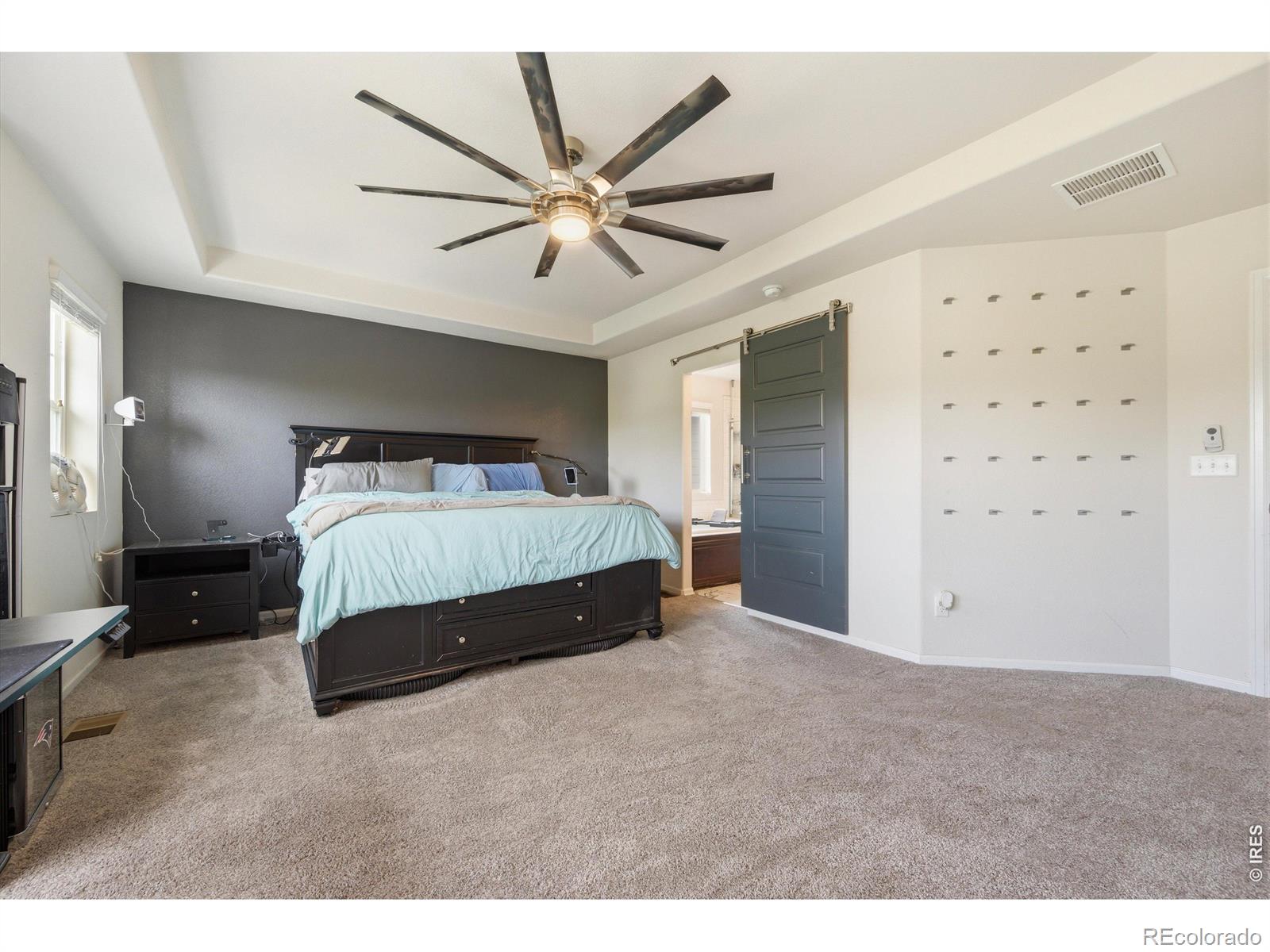 MLS Image #25 for 1553  grand avenue,windsor, Colorado