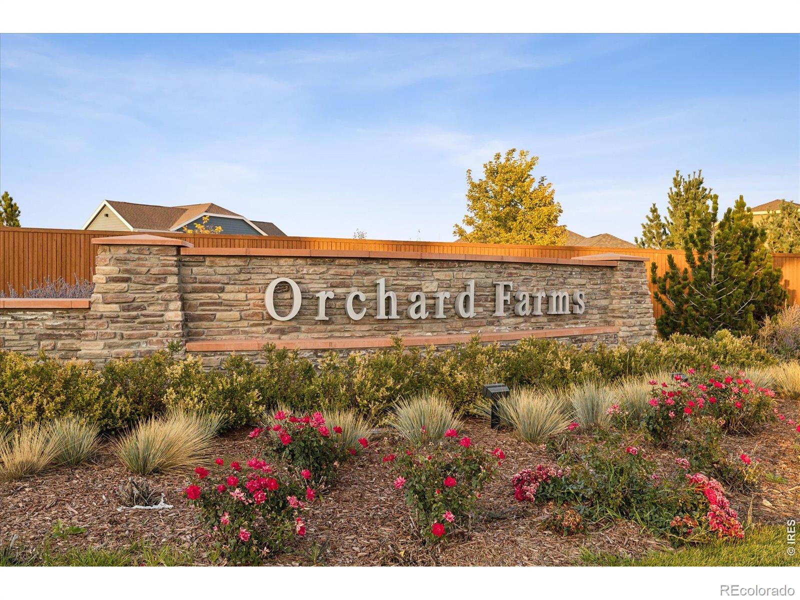 MLS Image #38 for 16356  columbine place,thornton, Colorado