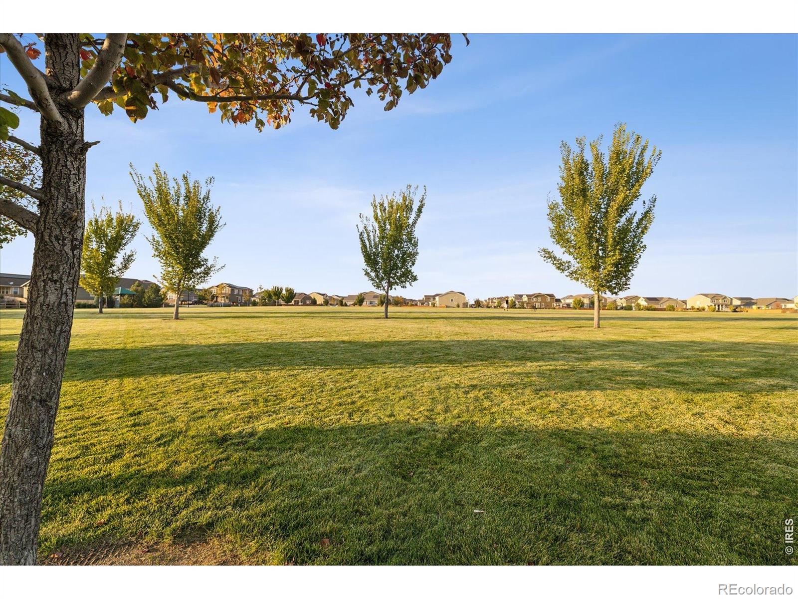 MLS Image #42 for 16356  columbine place,thornton, Colorado