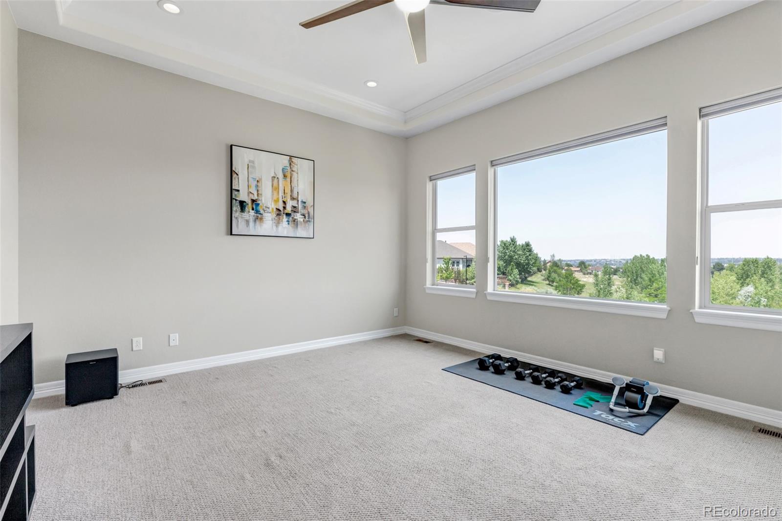 MLS Image #19 for 23675 e del norte place,aurora, Colorado