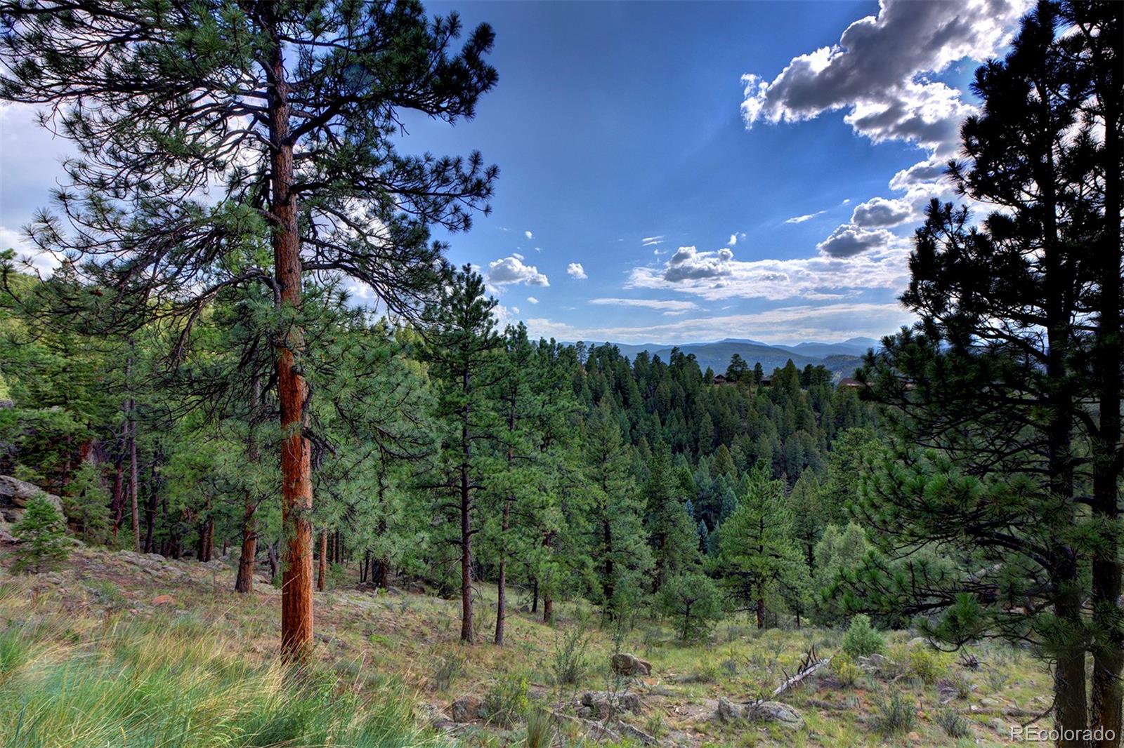 MLS Image #39 for 4331  hilltop road,evergreen, Colorado