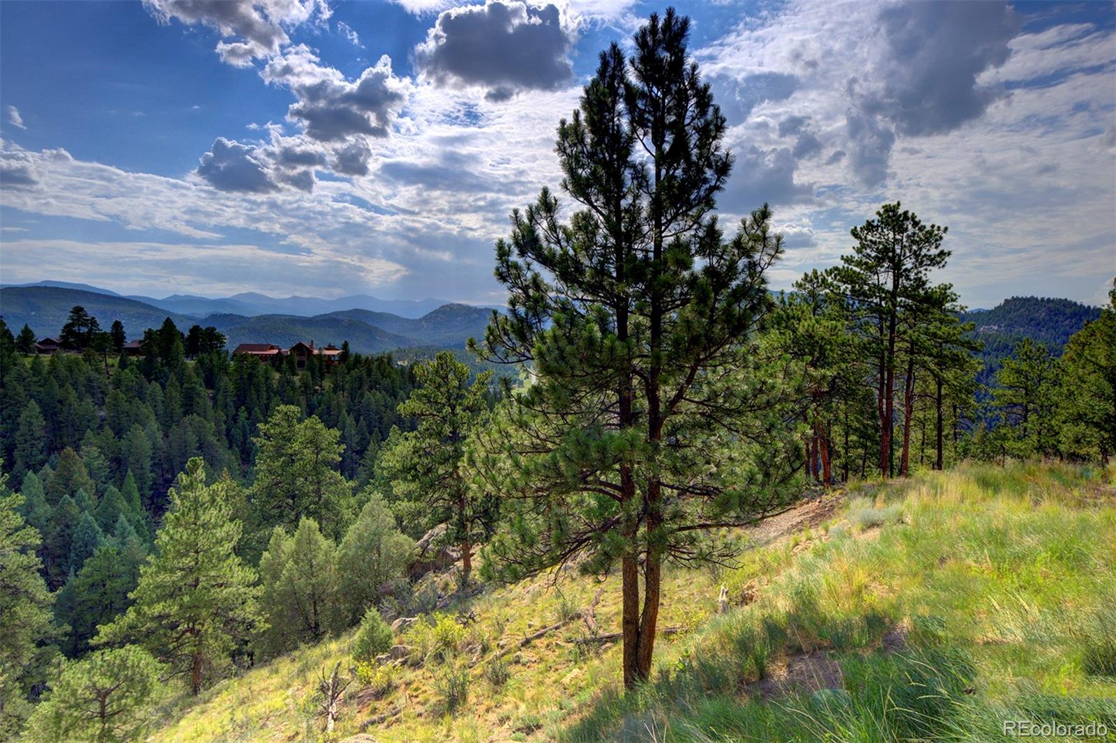 MLS Image #42 for 4331  hilltop road,evergreen, Colorado