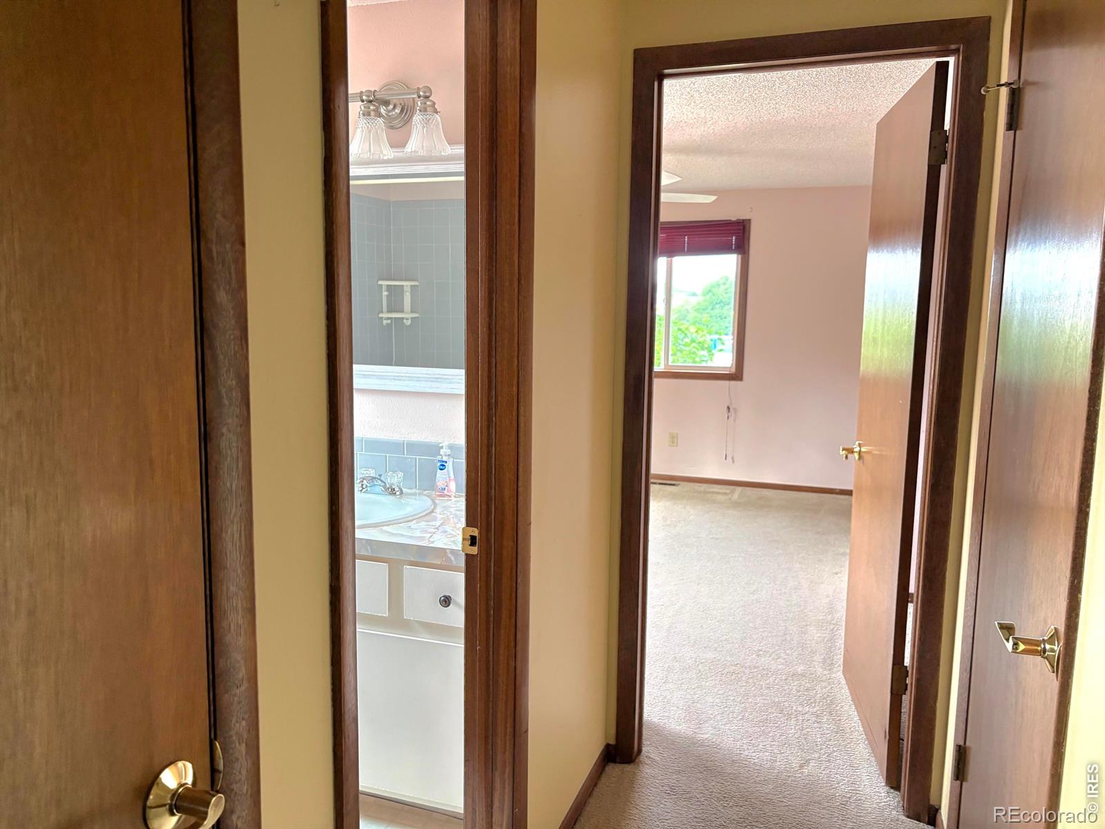 MLS Image #12 for 3659  butternut drive,loveland, Colorado
